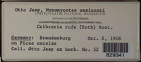 Image Associated With the Occurence